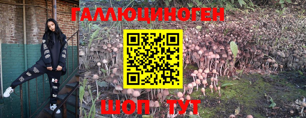 Псилоцибиновые грибы мухоморы  Вход с VPN  Норильск  Псилоцибиновые грибы мухоморы 