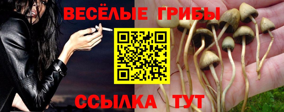 Галлюциногенные грибы мухоморы Норильск